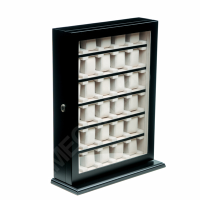 Шкатулка для хранения часов SW-1100-30-BL