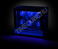 Шкатулка  с автоподзаводом WW-8203-MAB